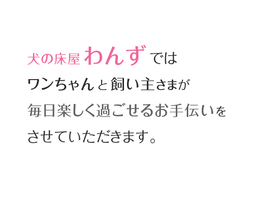 犬の床屋 わんずではワンちゃんと飼い主さまが毎日楽しく過ごせるお手伝いをさせていただきます。